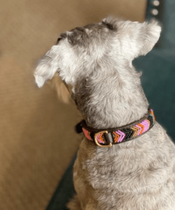 Alternative view of Collar para perros ESPIGA Hecho a mano España Rumba The Dog